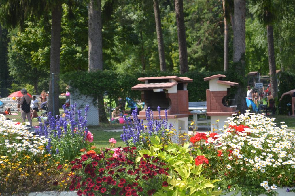Waldcamping Feldkirch