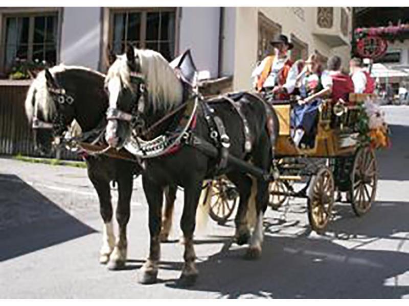 Kutschenfahrten