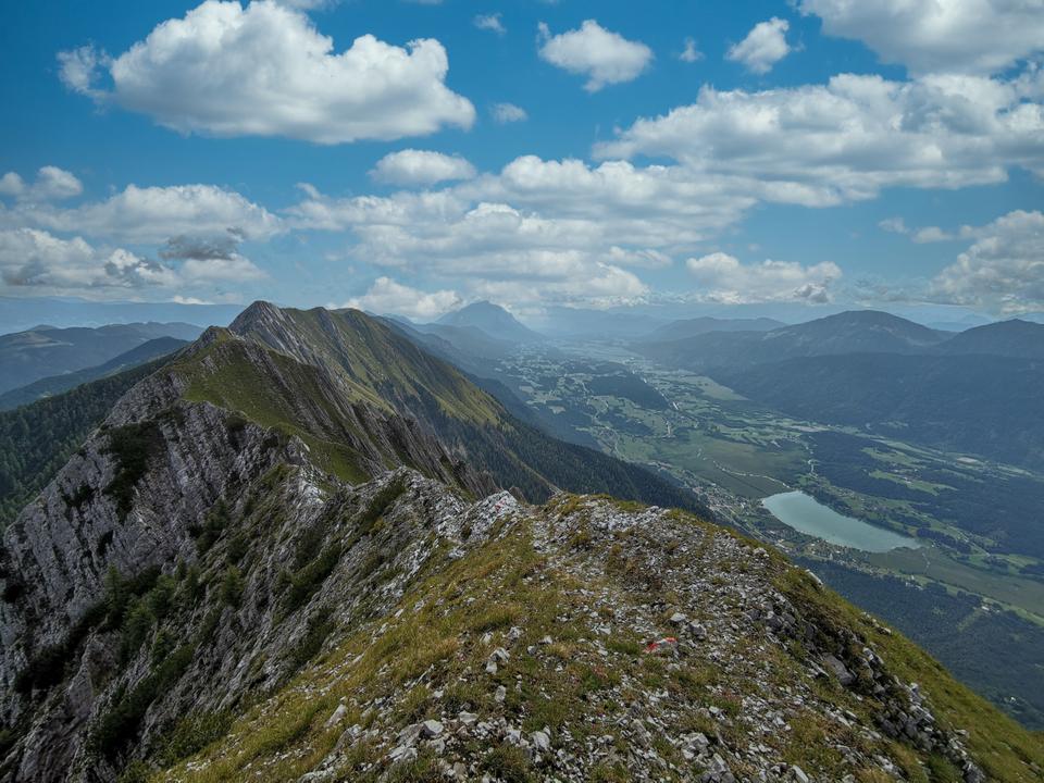 Spitzegel
