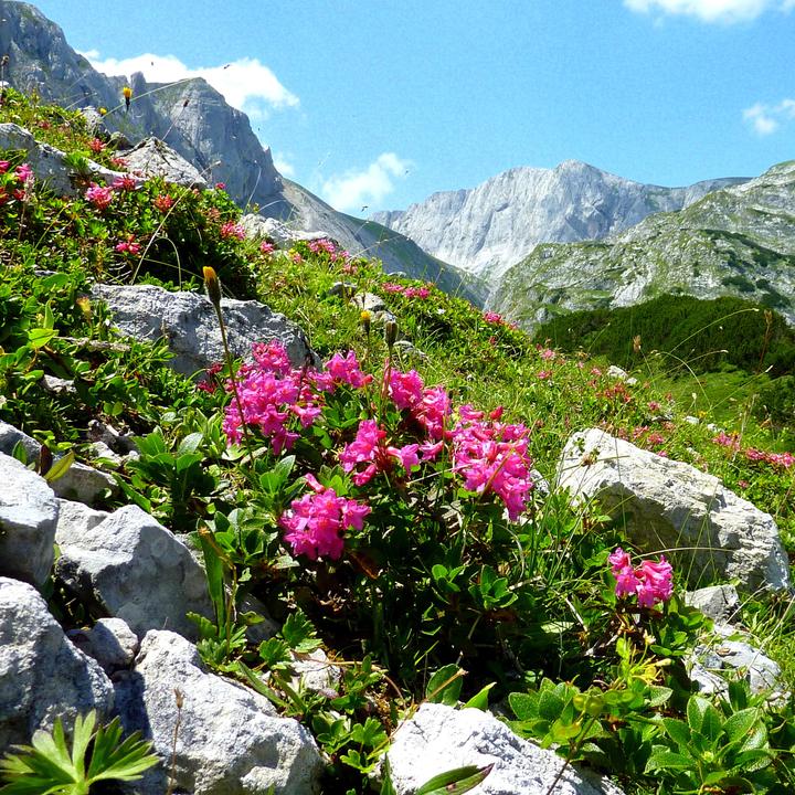 Hochschwabblick