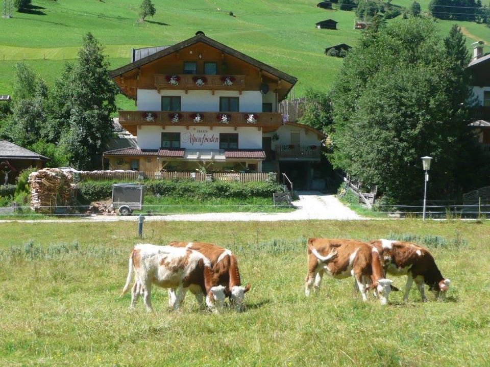 Das Haus Alpenfrieden im Sommer