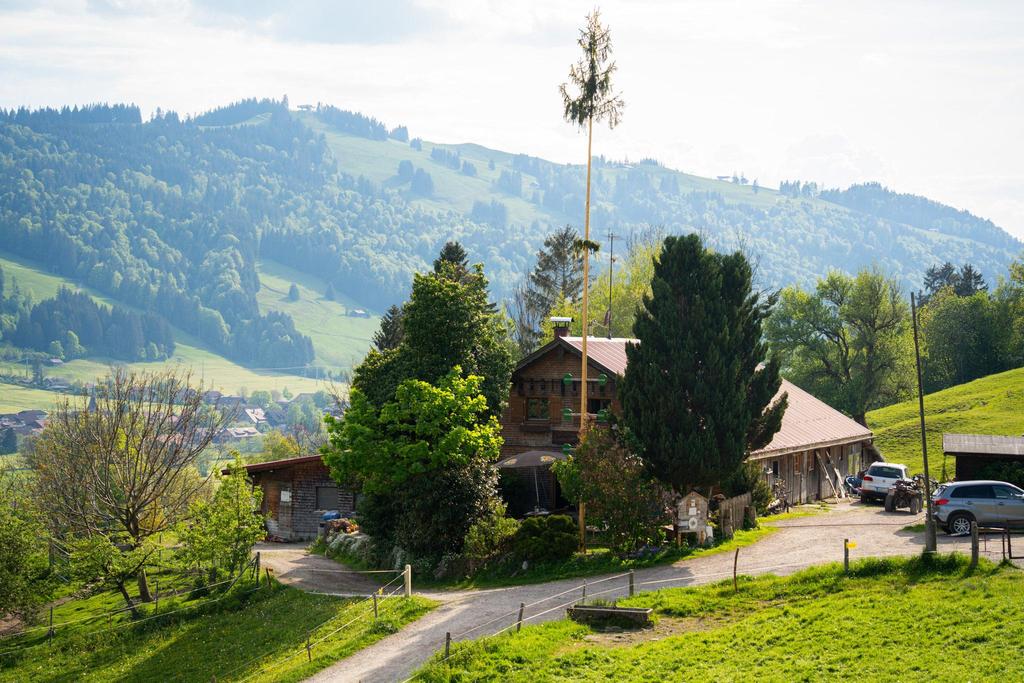 Alpe Schneidberg im Wandergebiet Thalkirchdorf