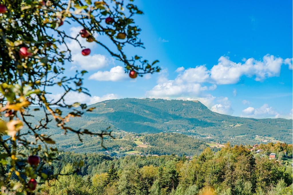 Blick auf den Schöckl