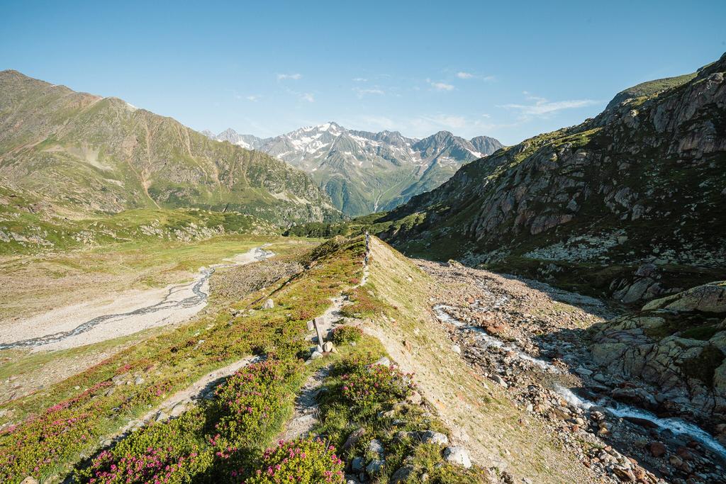 _titelbild_3_Nuernberger_Sulzenau_web.jpg
