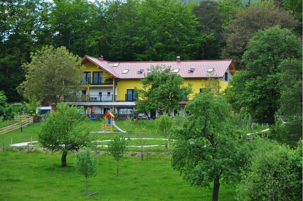 Steyrdurchbruch Alm