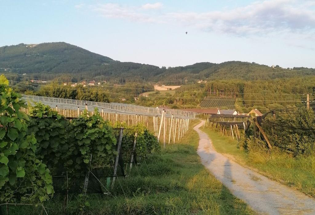 Mitten durch die Obstgärten, Eiteljörg Runde, Puch bei Weiz, Oststeiermark