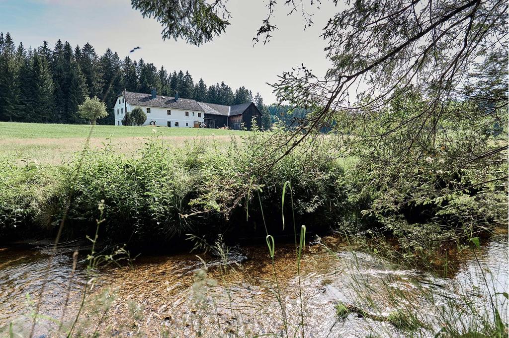 Ferienhaus Rametsteiner