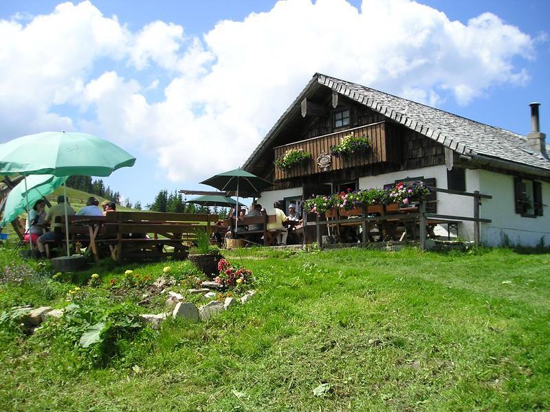 Lanznhütte am Faistenauer Schafberg