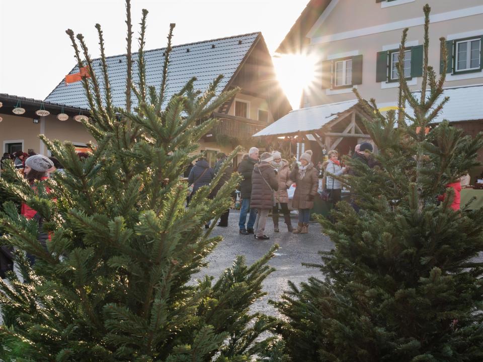 Moarhofhechtl_Adventmarkt