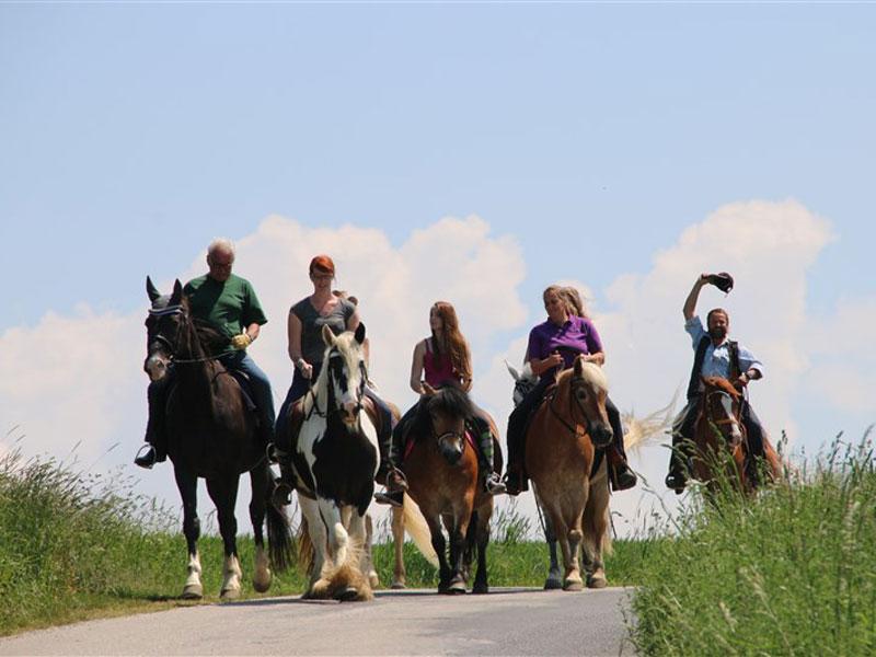 Traunreiter - ein fantastisches Reitwegenetz