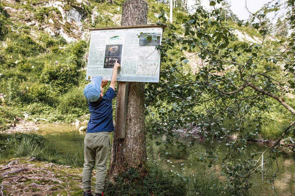 johnsbacher schattseitenweg_img_51666236