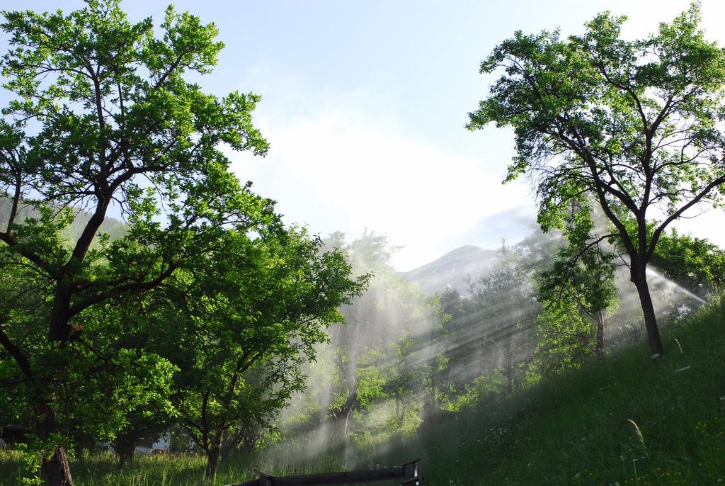 Bewäserung NP Kaunergrat Vorauer (12).JPG