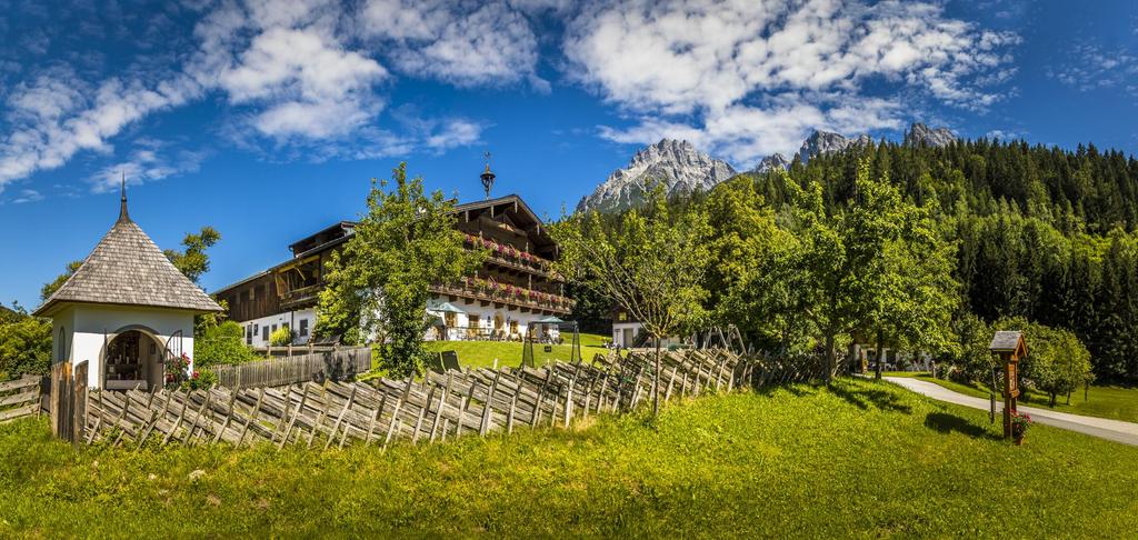 Hofansicht Sommer groß