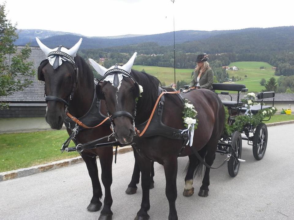 Kutschfahrten