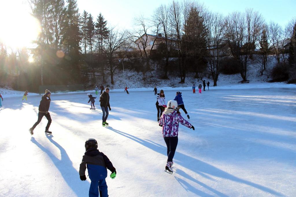 GH-Beren-Eislaufen-Murtal-Steiermark