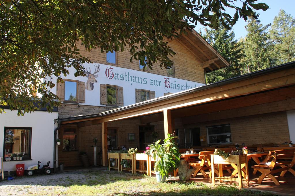 Kaiserbuche1