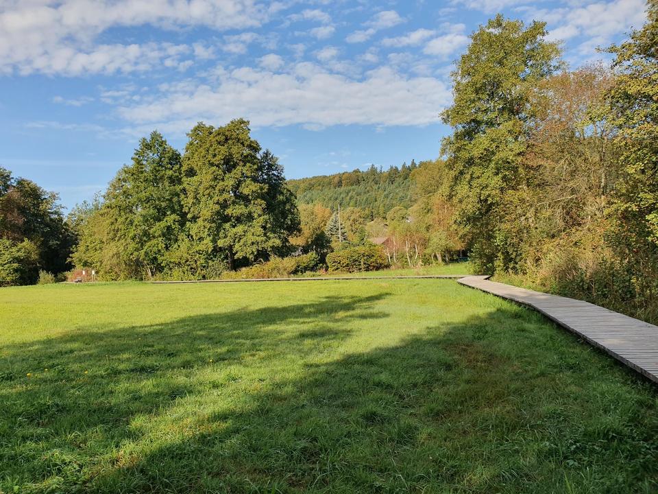WegAufderSpurderNatur_Lochen_Entdeckerviertel_MS.jpg