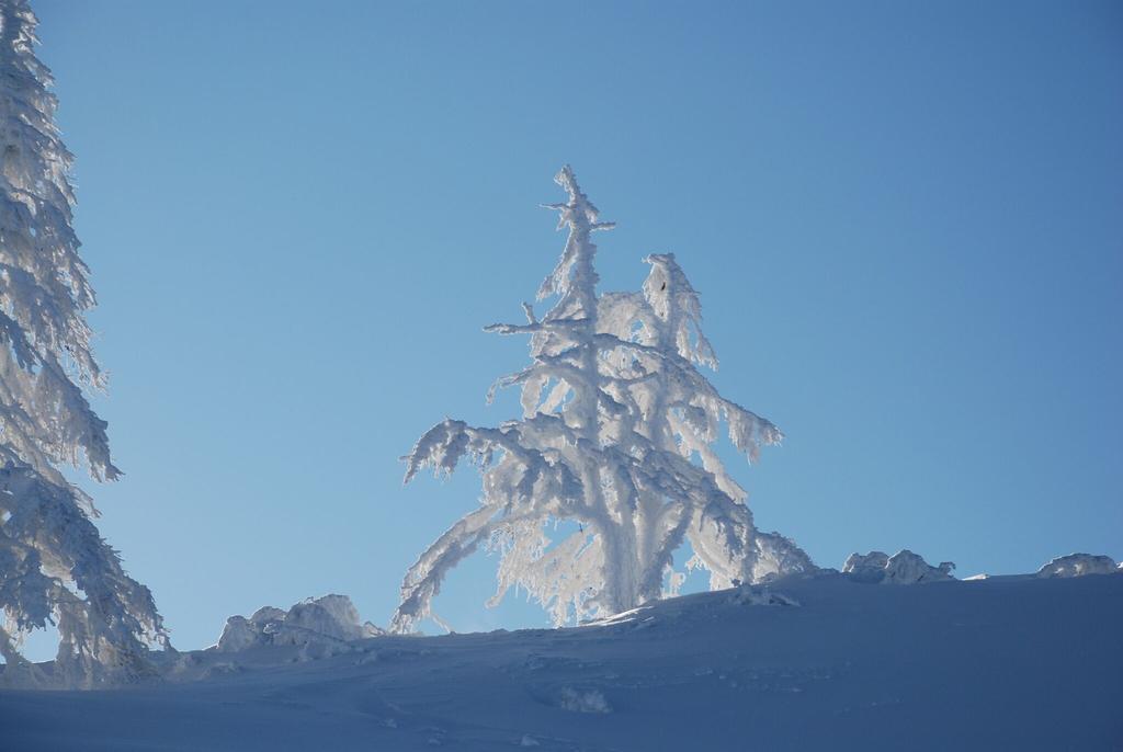 winterwanderweg pichl-vorberg_img_7986996