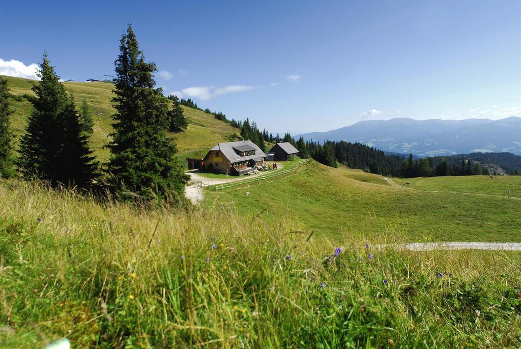 Hohenwarthütte