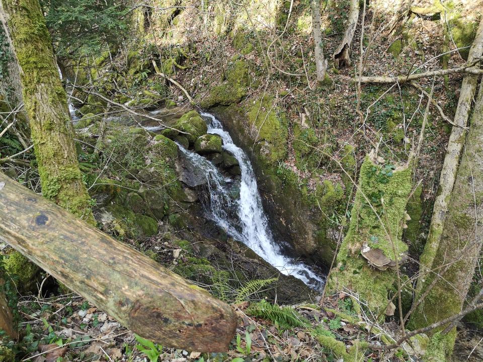 L4 Bahnhof Trattenbach - Schoberstein - Grünburger Hütte - Trail