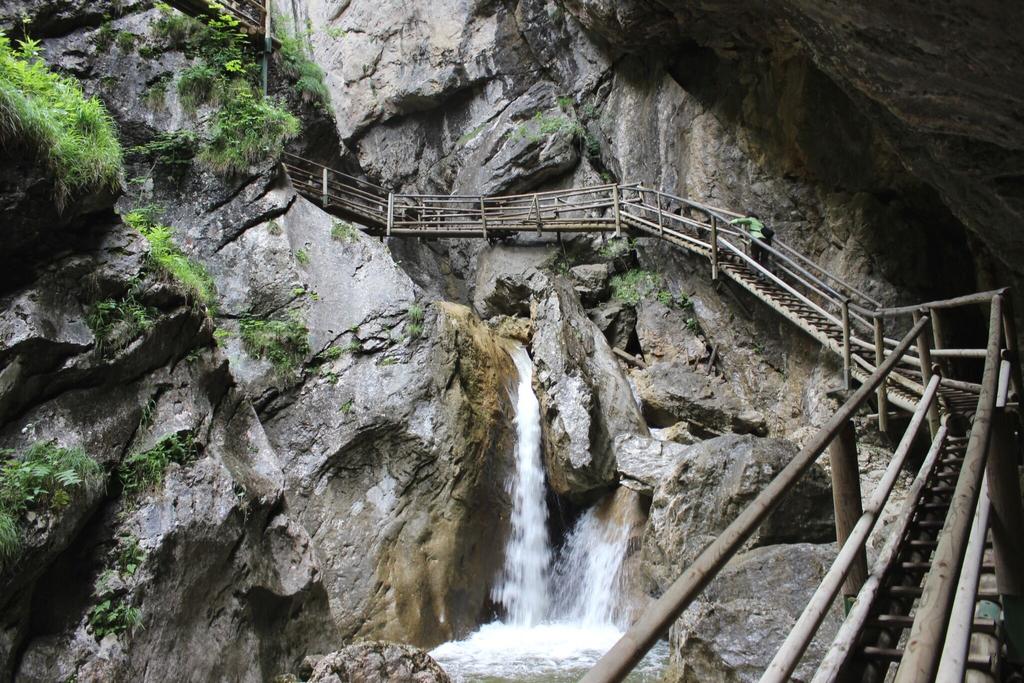 Leiter in der Bärenschützklamm_Naturpark Almenland_Oststeiermark