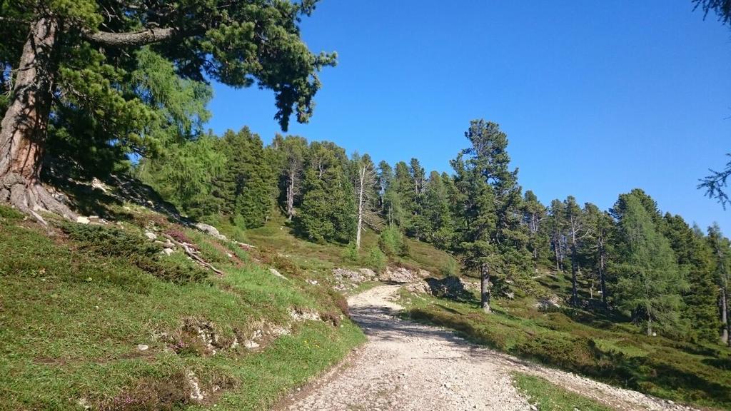 stoderalm-rundweg zum gröbminger blick_img_14625314