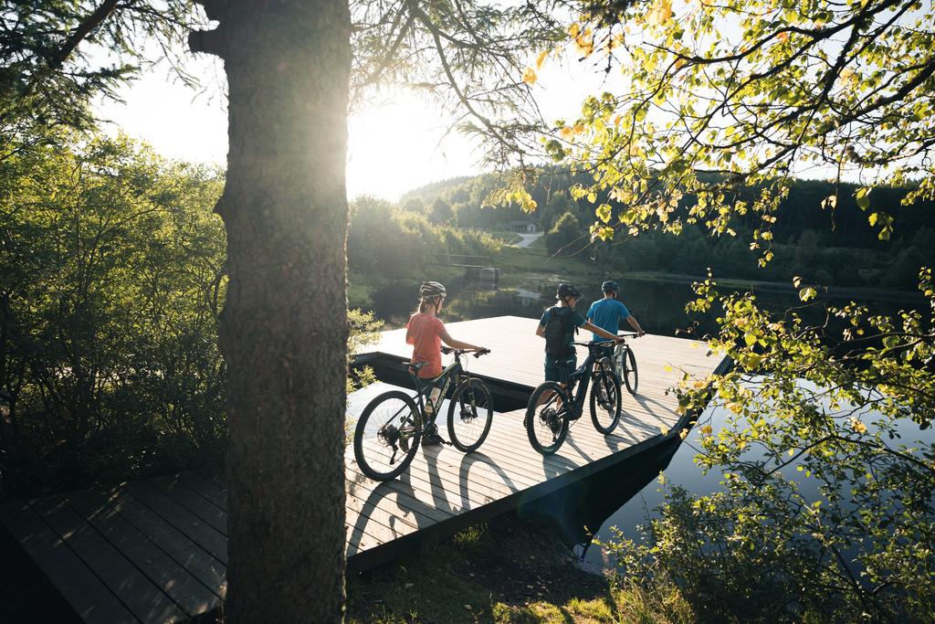 DreiMountainbikerSteg_OberoesterreichTourismusMuehlviertlerAlmFreistadtMoritzAblinger.jpg