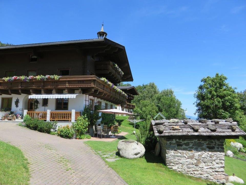 Großscharrn