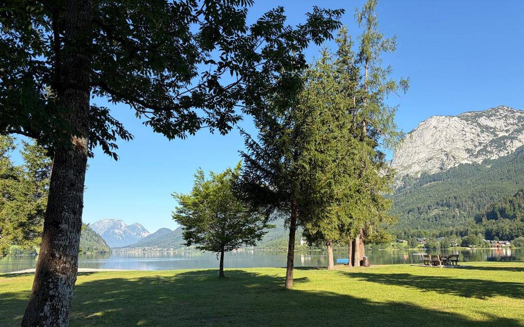 bäume-badeplatz-freizeitzentrum-gößl-grundlsee