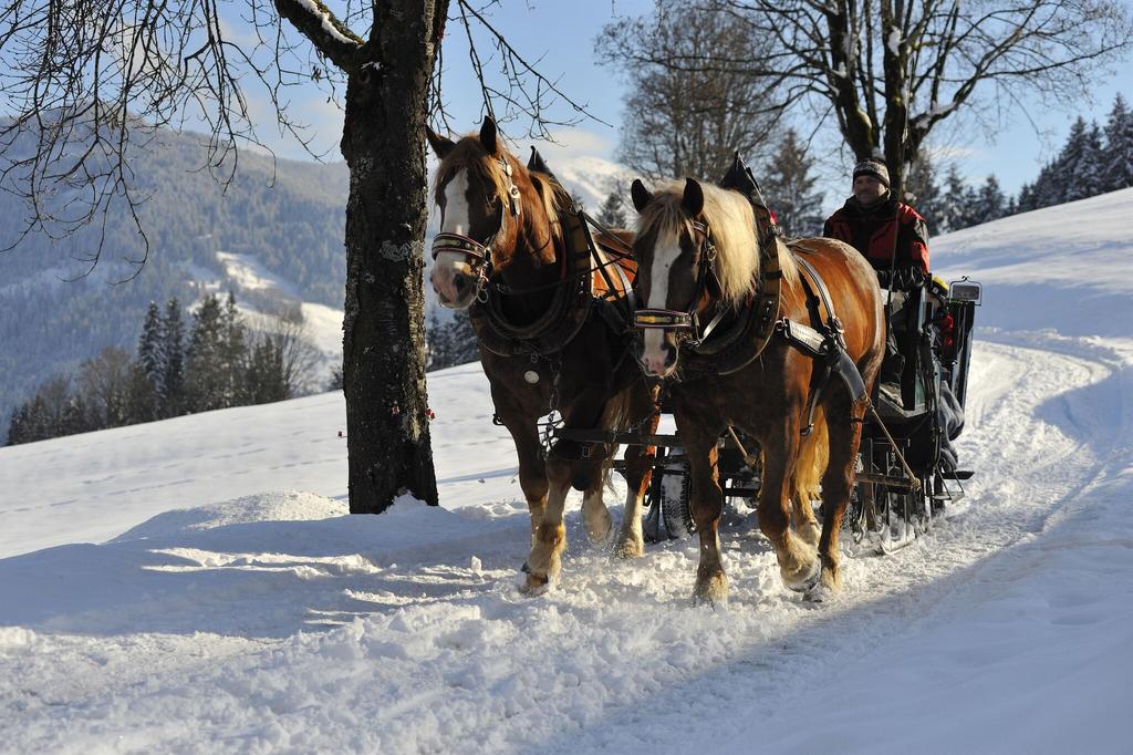 Kutschenfahrt Loinger Winter