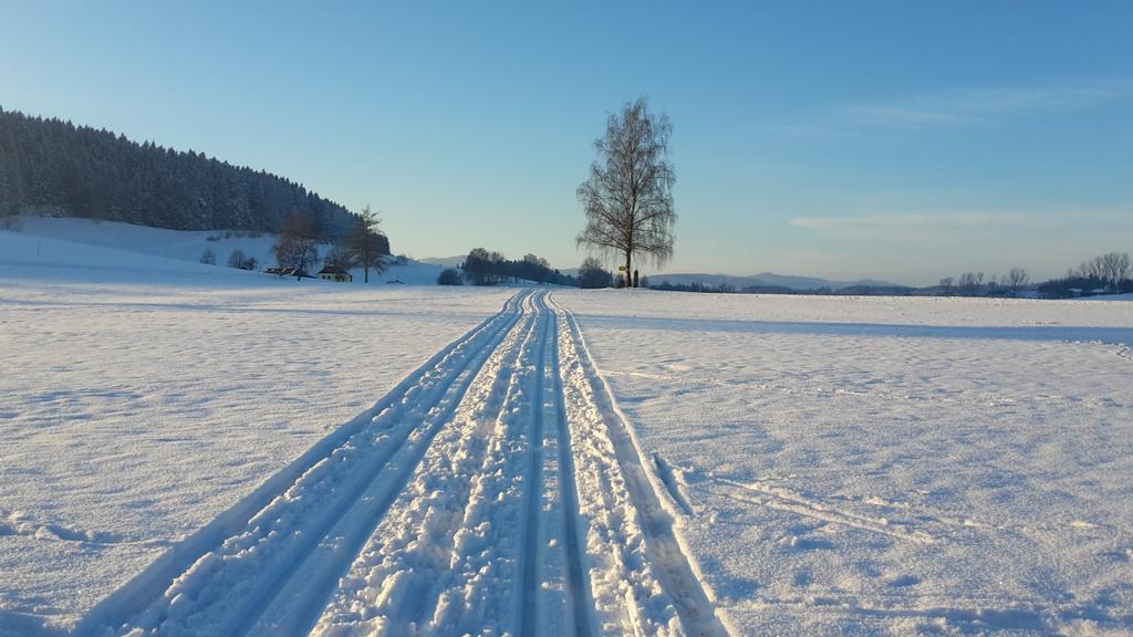 Langlaufen Hirschbach