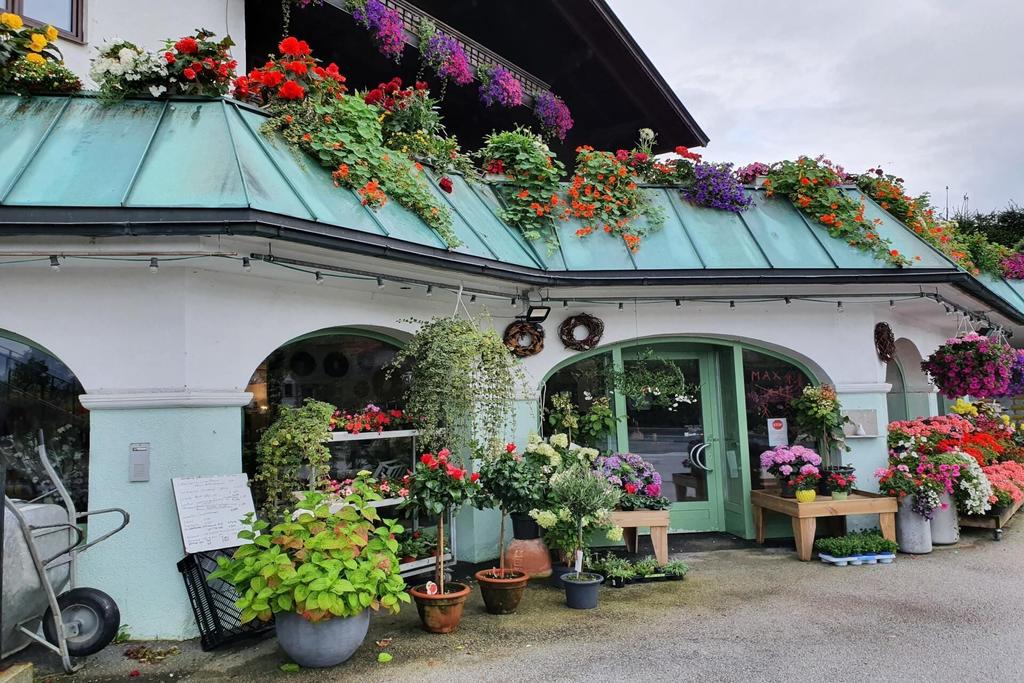 Blumen Vitez