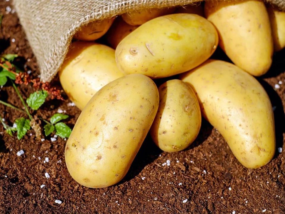 Kartoffeln vom Bauern