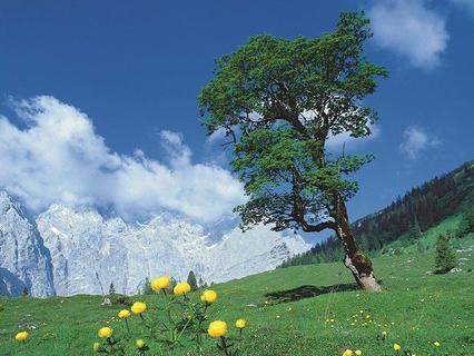 Wanderung Zum Kleinen Ahornboden