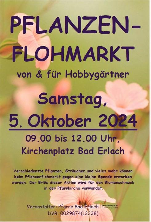 noeevents-529f104d1b708f41e9ea97a741c78d1b2505484b9a8ca8bebef0dc2271829a9c.jpg