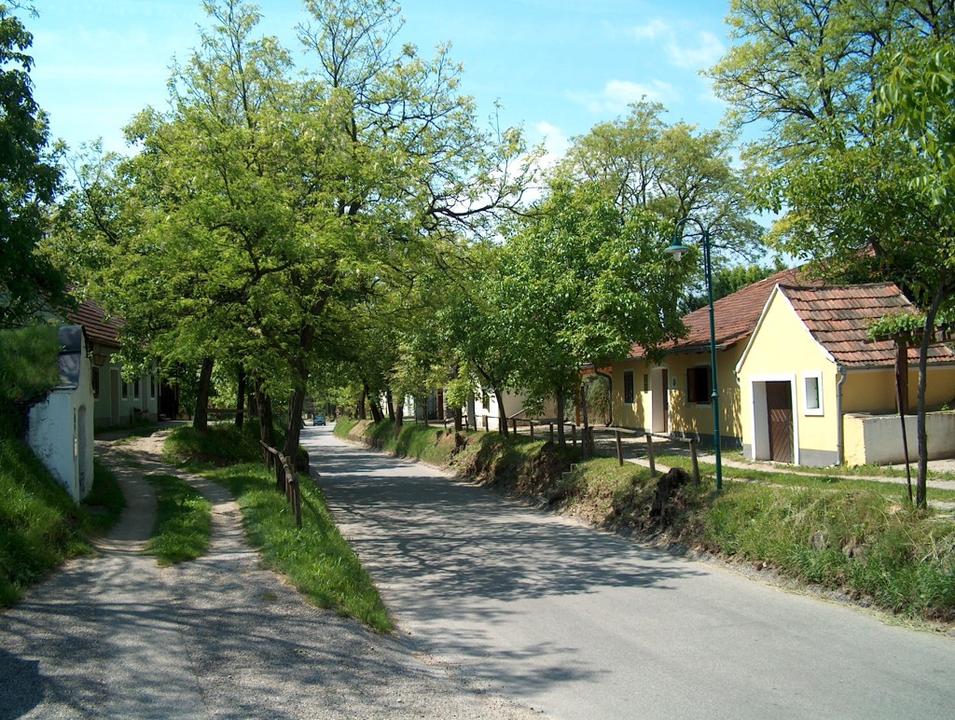 noeevents-5b34558fcab42a9c6a7a7c0efff5883ec6cfd6a6c9af3fc3ea418b6521527e3b.jpg