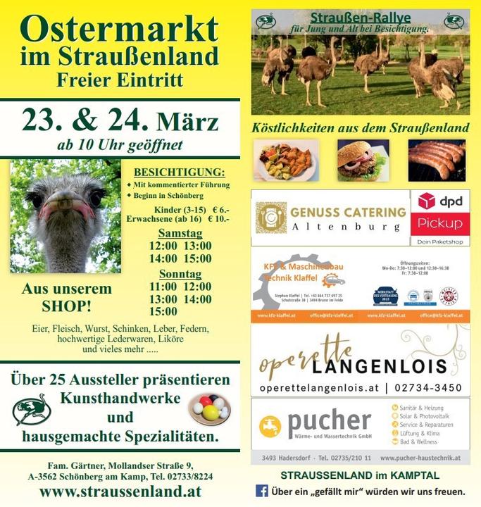 noeevents-94ed356d0d149a3caaa5546741ca480f76e146fe5d66c6ddabb70c0d3777c1ff.jpg