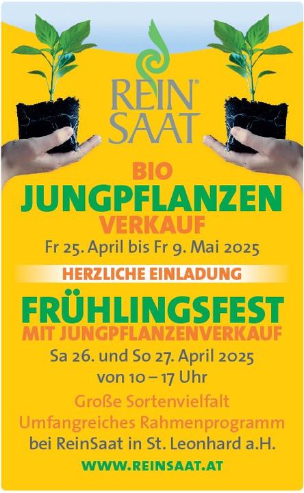 noeevents-e54f12bda208f5dd8c2a4343a1fc43c4e25f7a7befe81ad620063bd097c43c2d.jpg