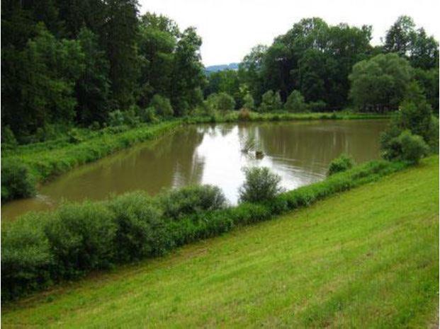 Waldluftbadeweg Luchsberg